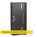 Дверь входная ДС 9 1679