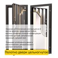 Дверь входная ДС 9 1679