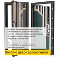 Дверь входная ДС 9У 1682