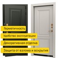 Дверь входная ДС 10 1685