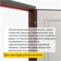 Дверь входная ДС 10 1685
