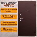 Дверь входная ARGUS 2181
