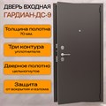 Дверь входная ДС 9/гладкая панель 2077
