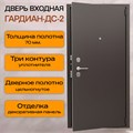 Дверь входная ДС 2/гладкая панель 2079
