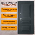 Дверь входная ТЕРМО 113 2397