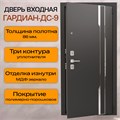 Дверь входная ДС 9 1679