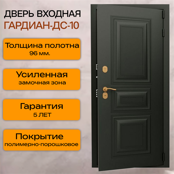 Дверь входная ДС 10 1685