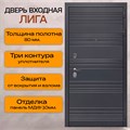 Дверь входная Лига 2097