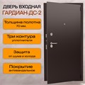 Дверь входная Гардиан ДС2 2190