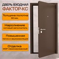 Дверь входная Фактор К С 1653